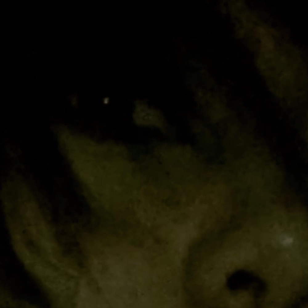 Meet your Posher, Astrid